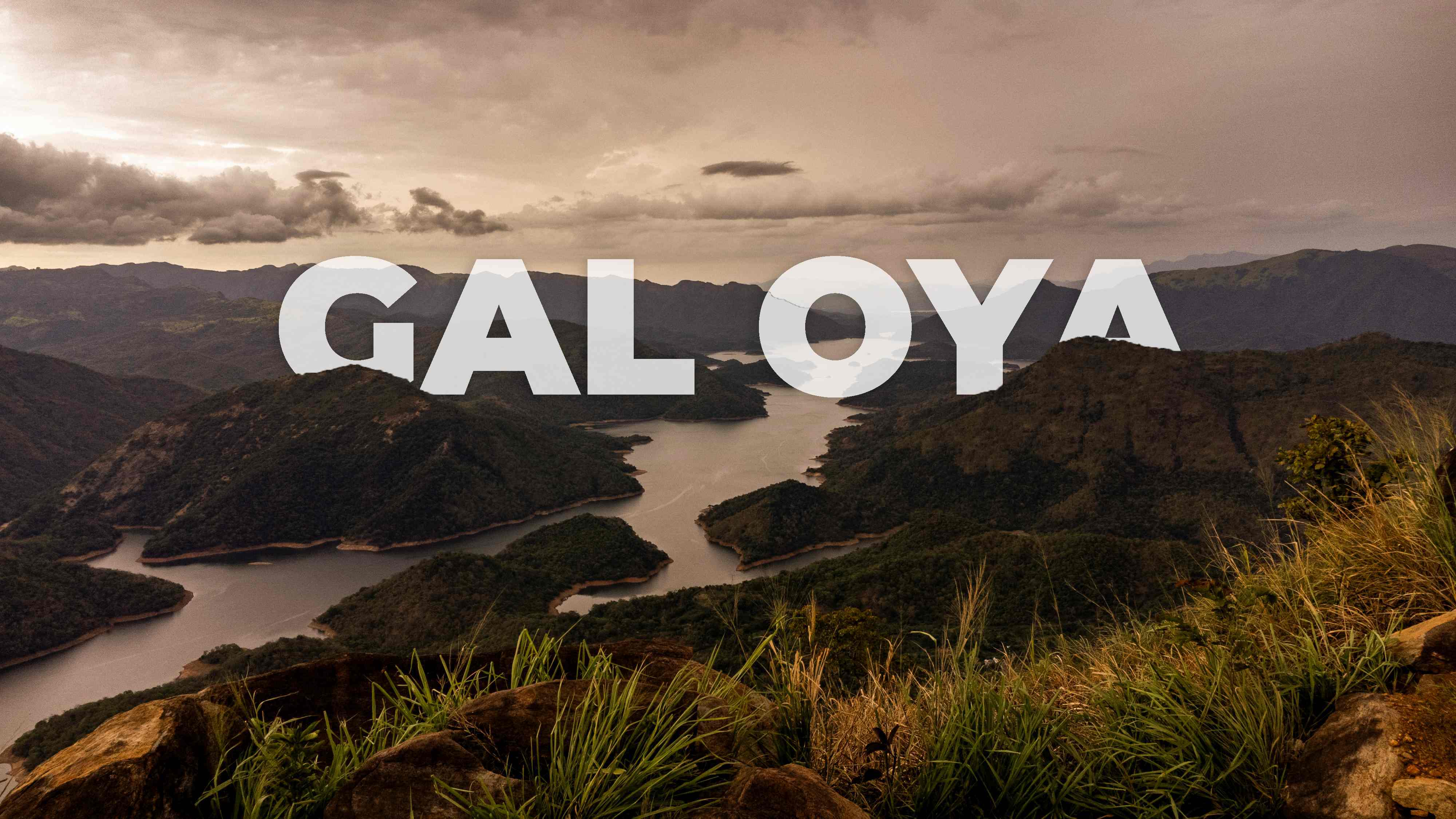 Galoya Forest