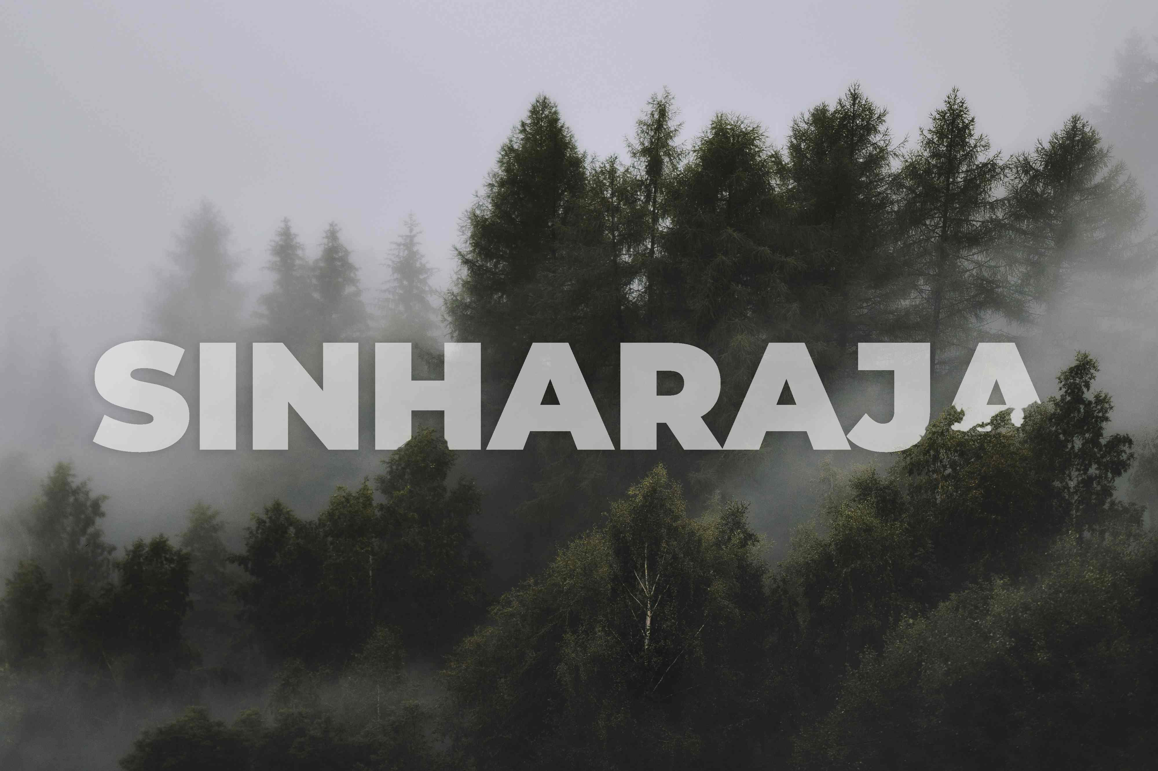 Sinharaja Rainforest